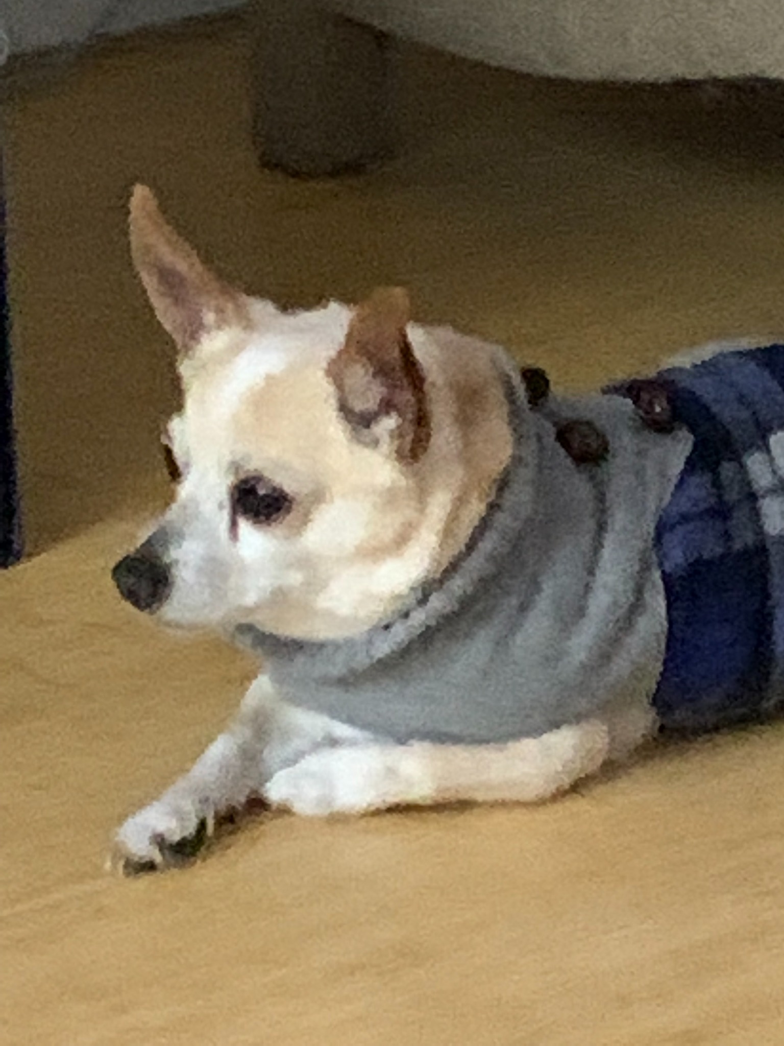 Jack